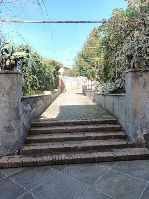 מסה לוברנסה Green Apartment In Sorrento Coast מראה חיצוני תמונה